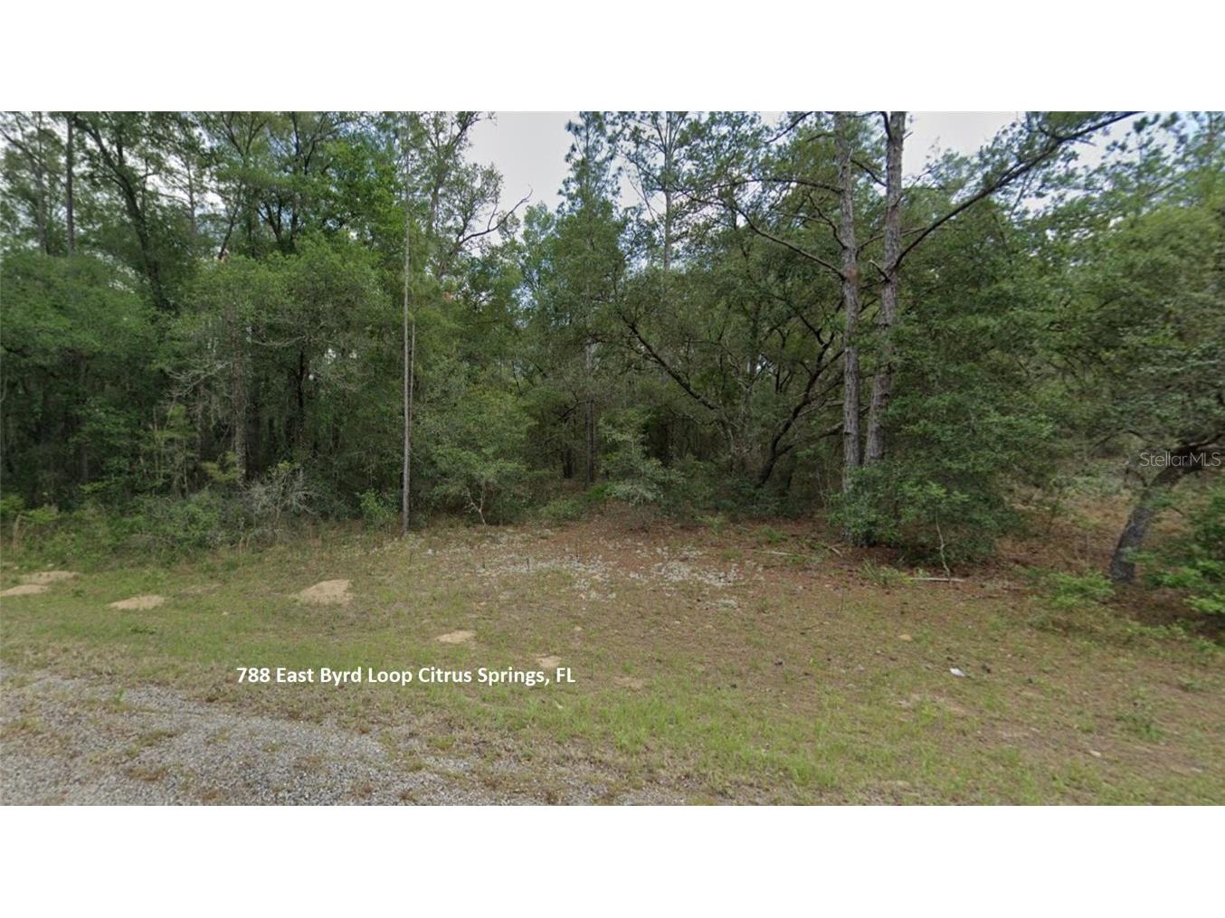 788 E Byrd Loop Dunnellon FL 34434 GC526716 image1
