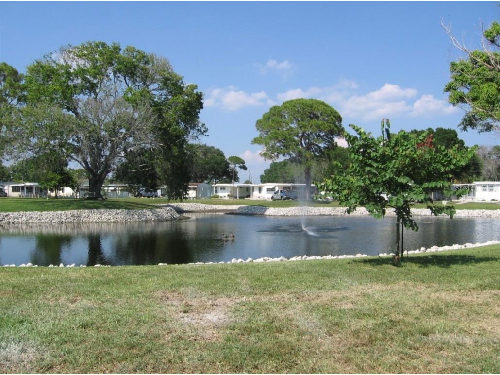 7880 54th Avenue N #46 Saint Petersburg FL 33709 TB8353400 image13