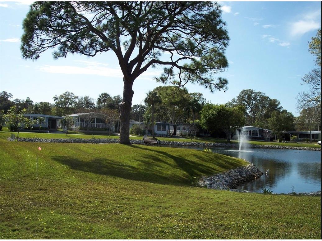 7880 54th Avenue N #46 Saint Petersburg FL 33709 TB8353400 image15