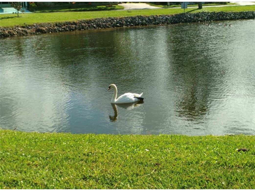 7880 54th Avenue N #75 Saint Petersburg FL 33709 TB8366920 image27