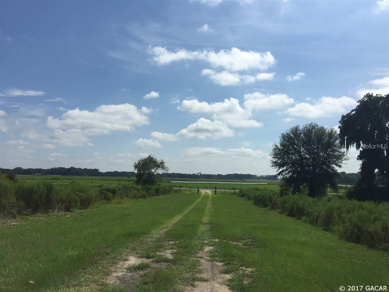 7880 NE 15 Street Trenton FL 32693 GC536876 image2