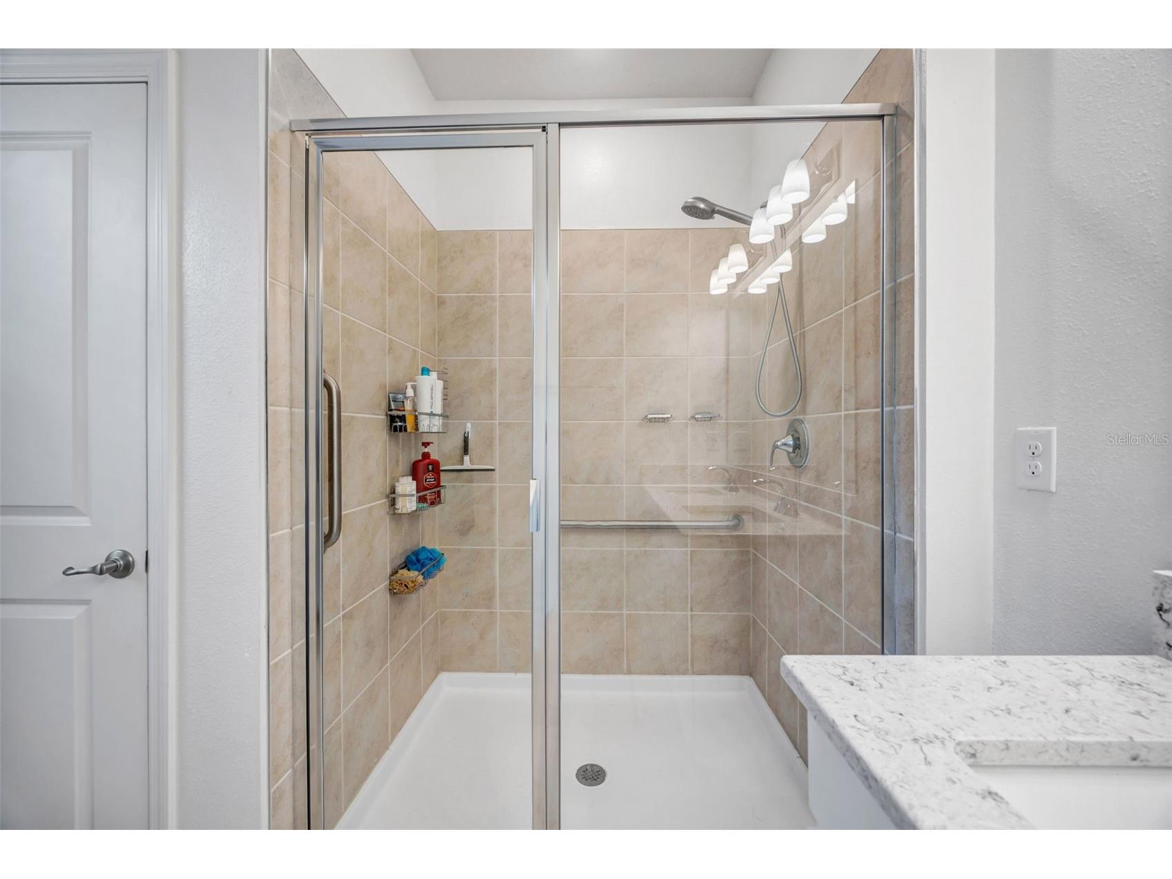 7882 Lennox Loop Wesley Chapel FL 33544 TB8469577 image40