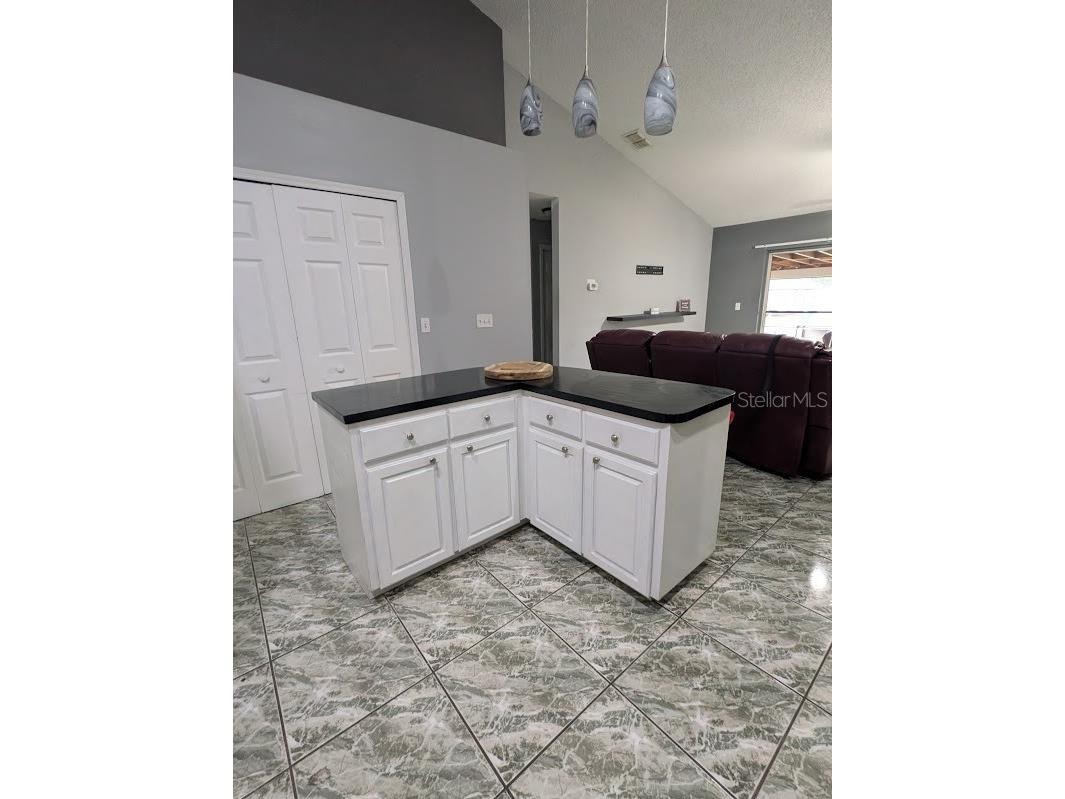 7885 Camlyn Court Orlando FL 32818 V4949782 image13