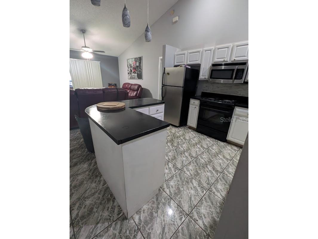 7885 Camlyn Court Orlando FL 32818 V4949782 image15