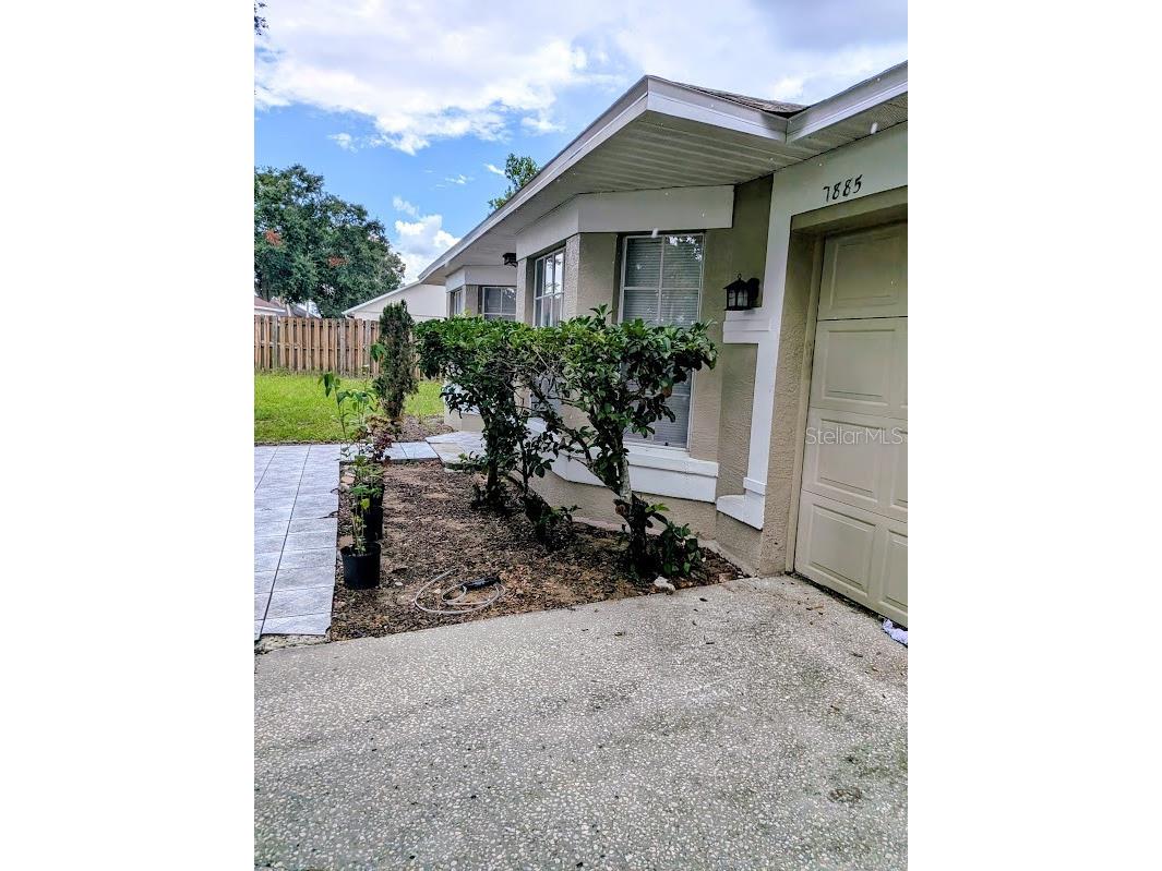 7885 Camlyn Court Orlando FL 32818 V4949782 image5