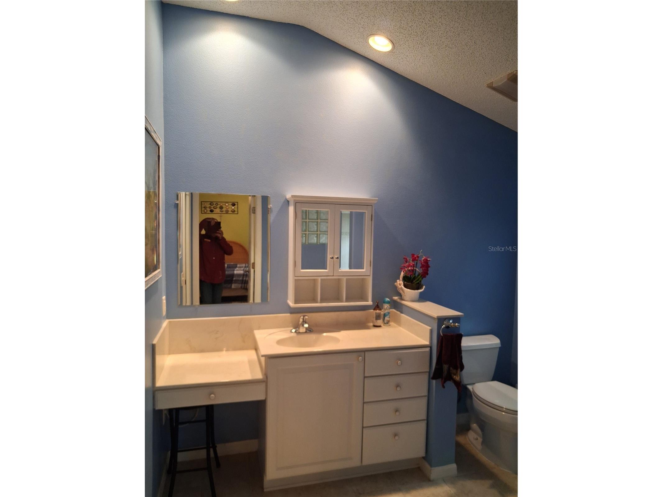 7886 SE 167th Mistwood Lane The Villages FL 32162 - POND G5105590 image24