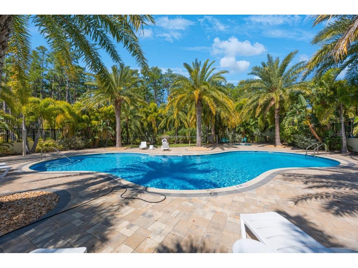 789 Grand Cypress Lane Tarpon Springs FL 34689 TB8382322 image45