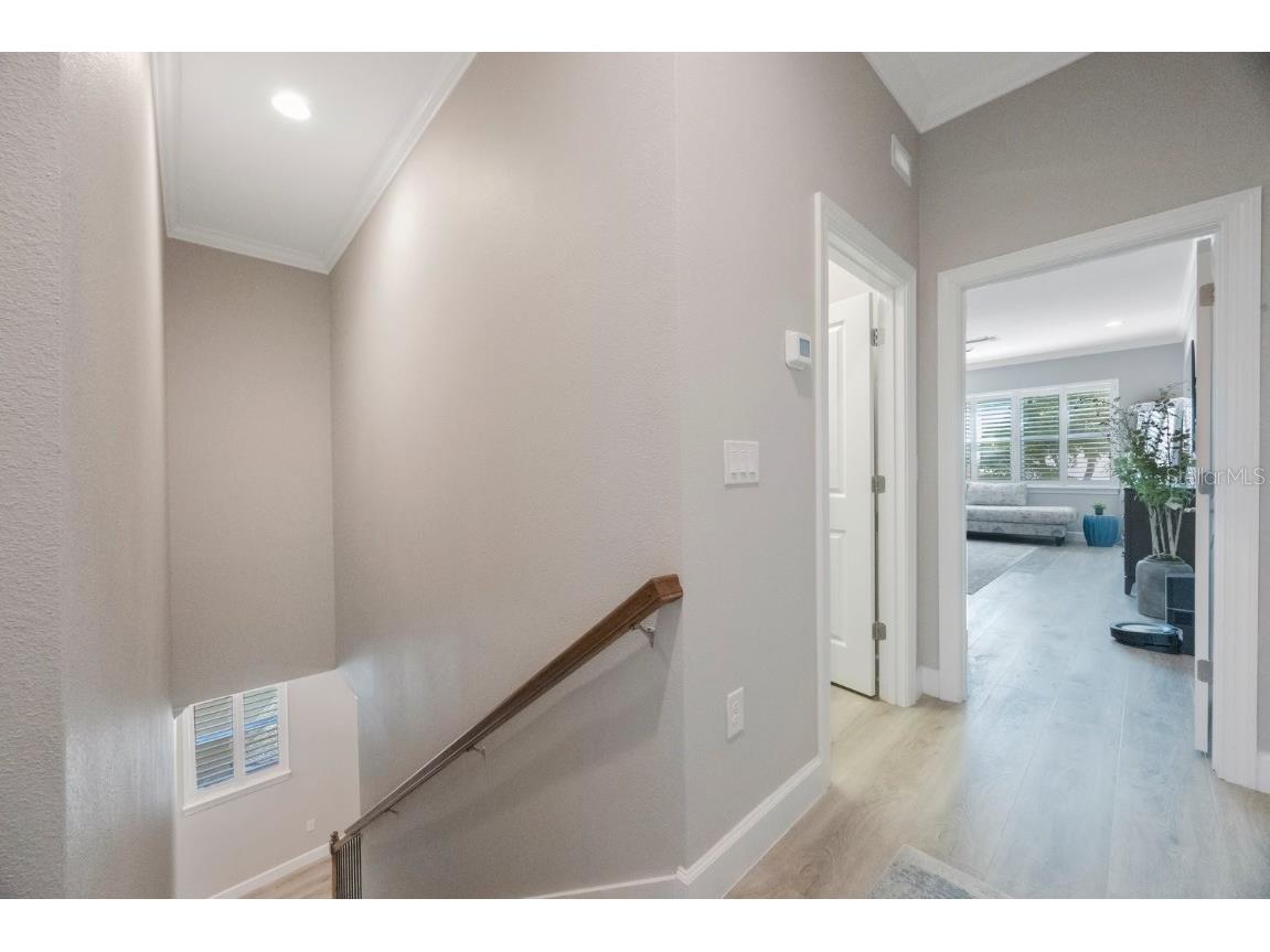 789 Grand Cypress Lane Tarpon Springs FL 34689 TB8448321 image22