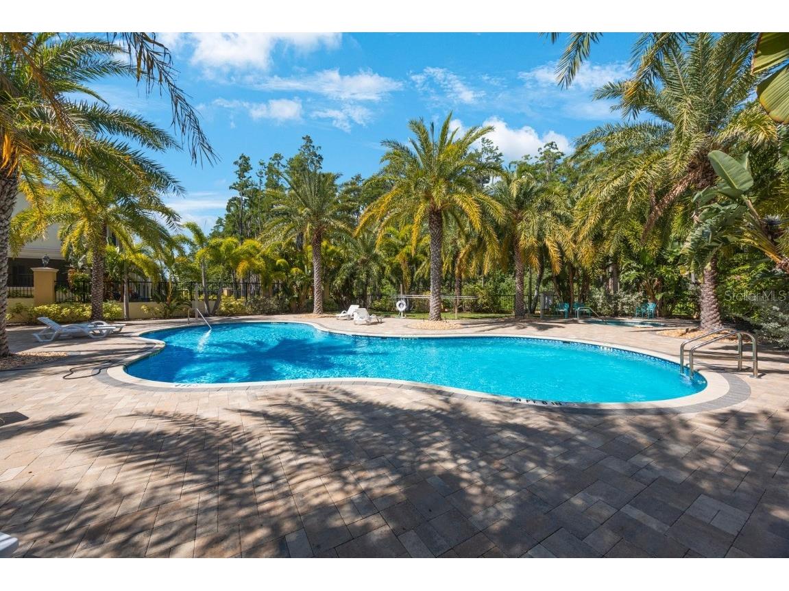 789 Grand Cypress Lane Tarpon Springs FL 34689 TB8448321 image44