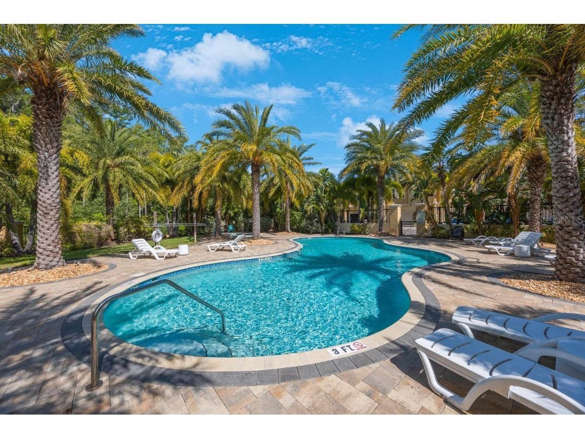 789 Grand Cypress Lane Tarpon Springs FL 34689 TB8448321 image46