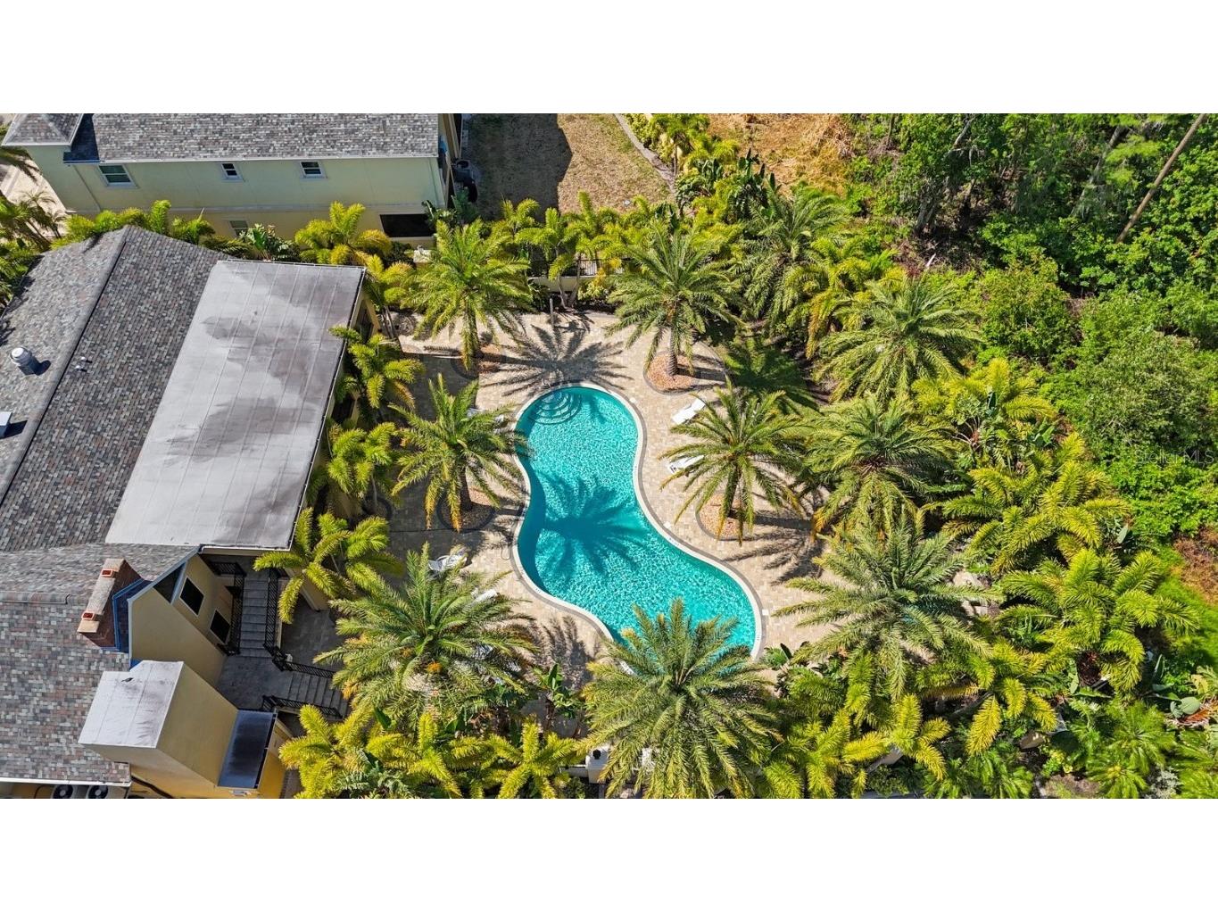 789 Grand Cypress Lane Tarpon Springs FL 34689 TB8448321 image49