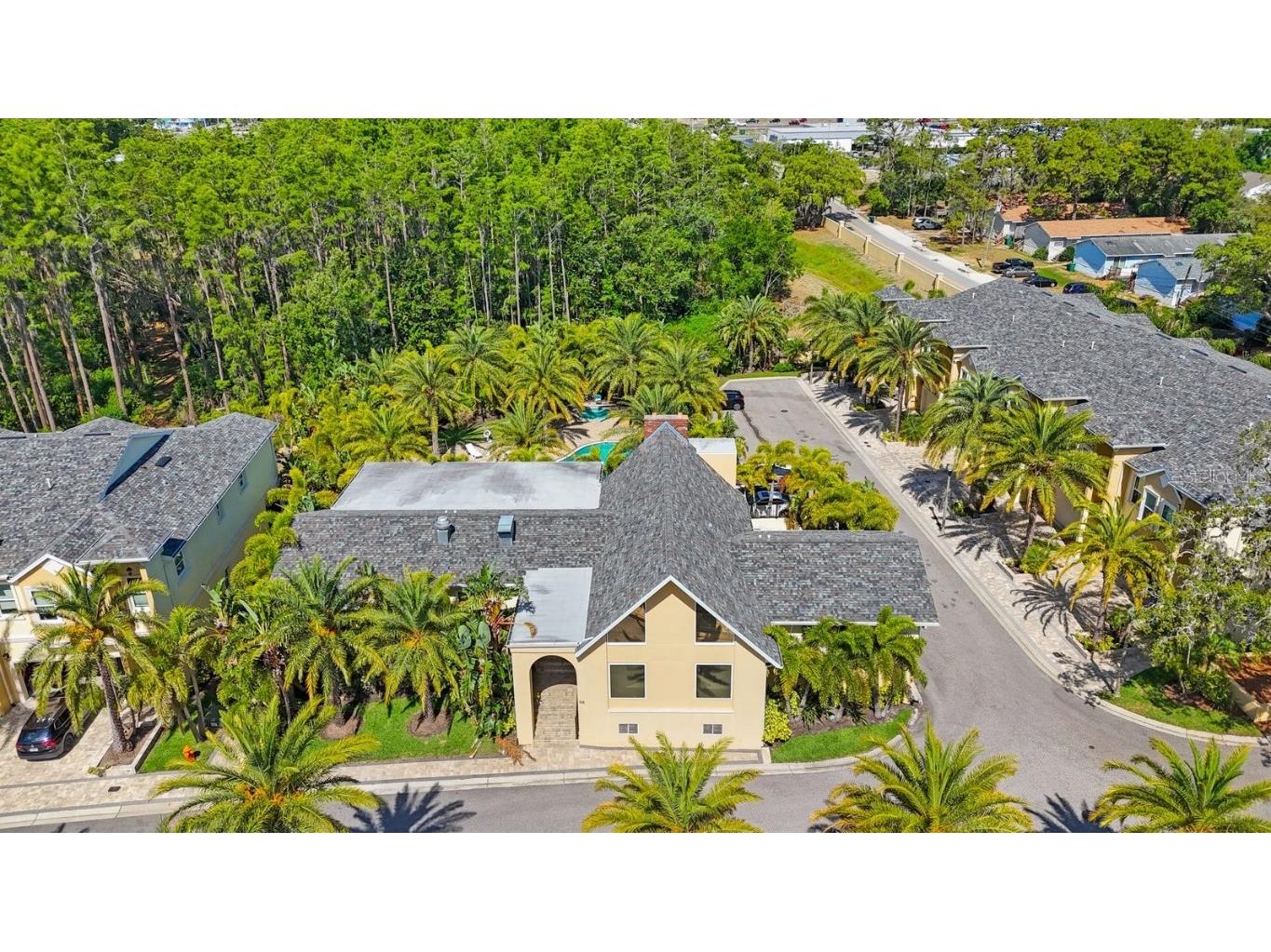 789 Grand Cypress Lane Tarpon Springs FL 34689 TB8448321 image52