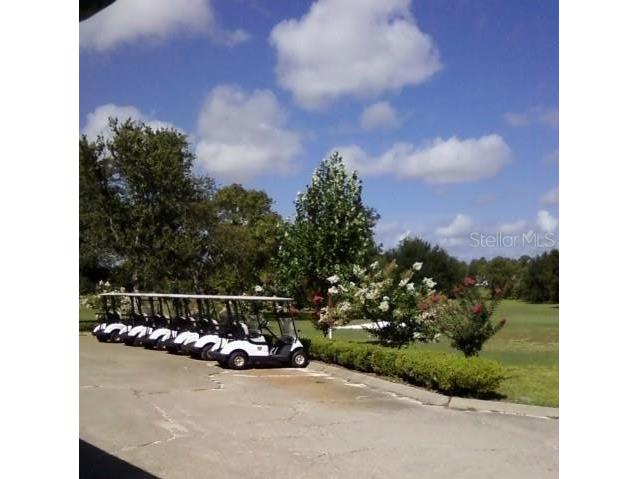 789 NE State Road 121 Williston FL 32696 U8075156 image1