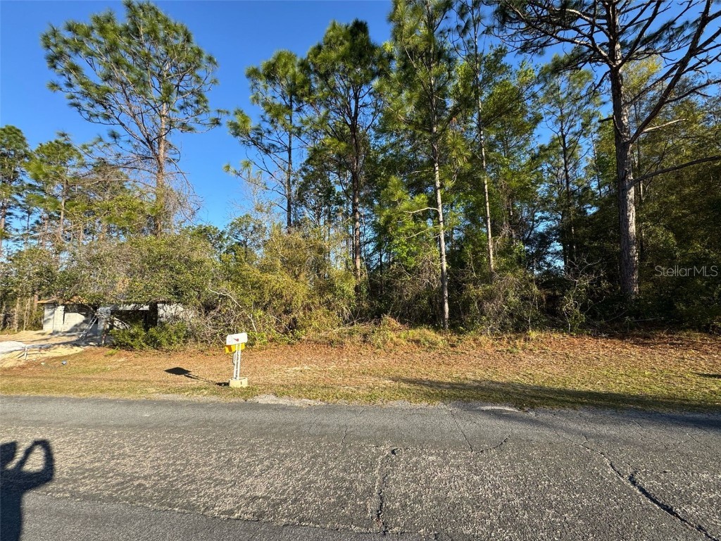 7890 N Pocono Drive Citrus Springs FL 34434 O6308554 image1