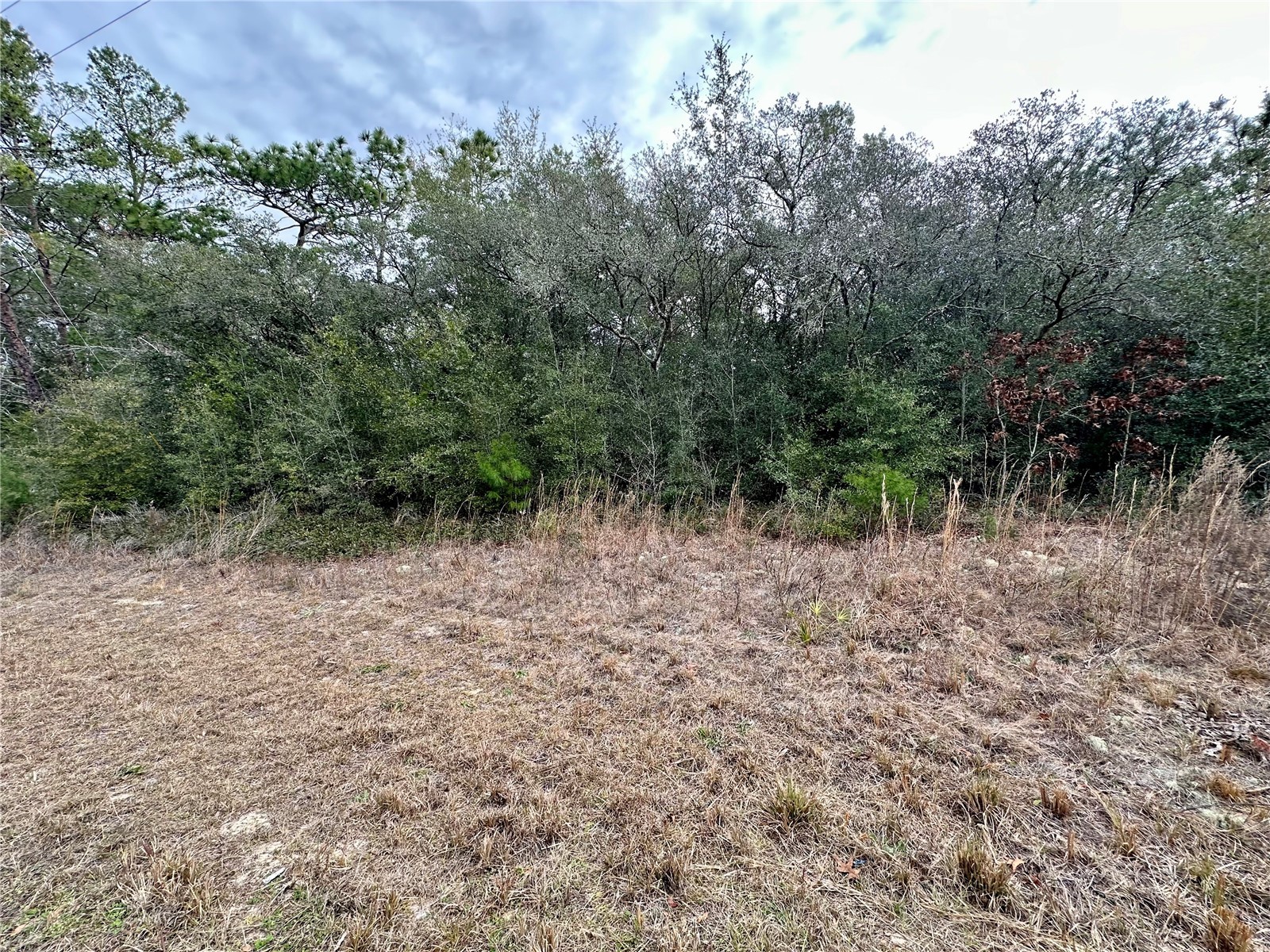 7891 N Darby Drive Citrus Springs FL 34433 OM717161 image4