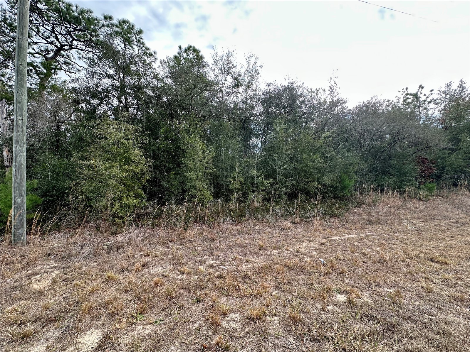 7891 N Darby Drive Citrus Springs FL 34433 OM717161 image5
