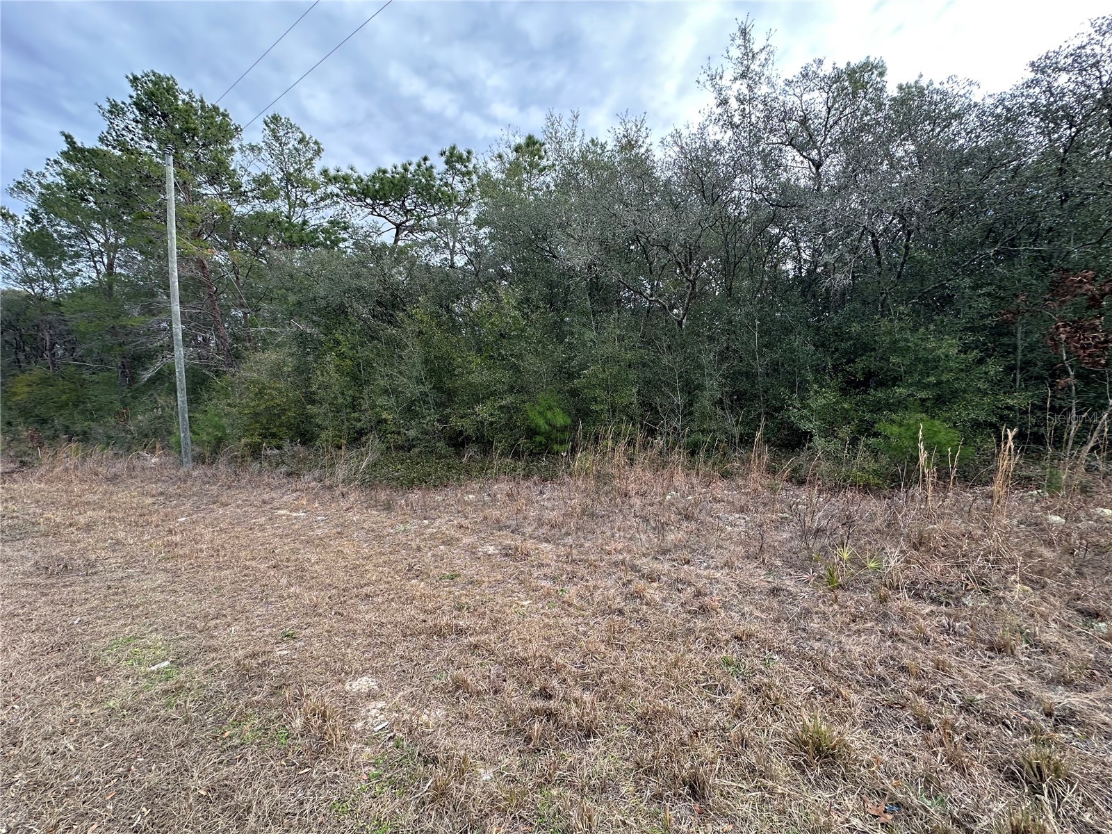 7891 N Darby Drive Citrus Springs FL 34433 OM717161 image6