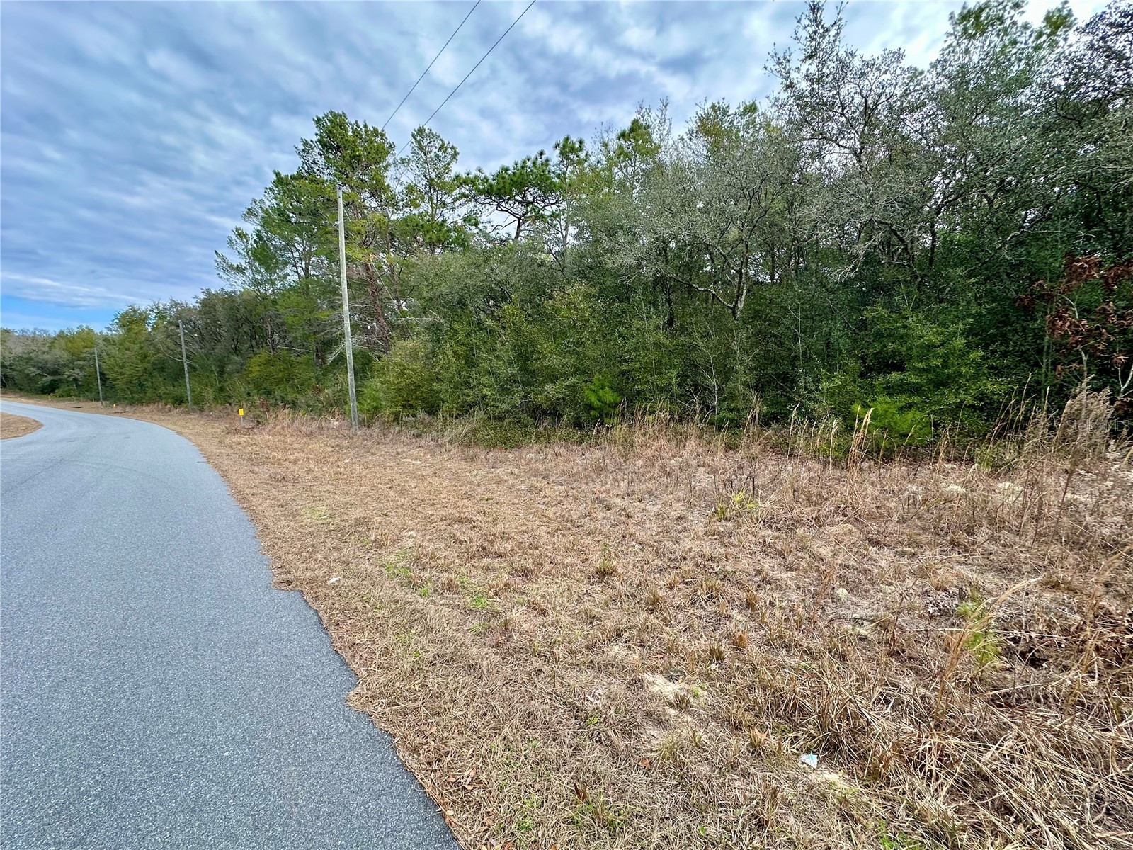 7891 N Darby Drive Citrus Springs FL 34433 OM717161 image7