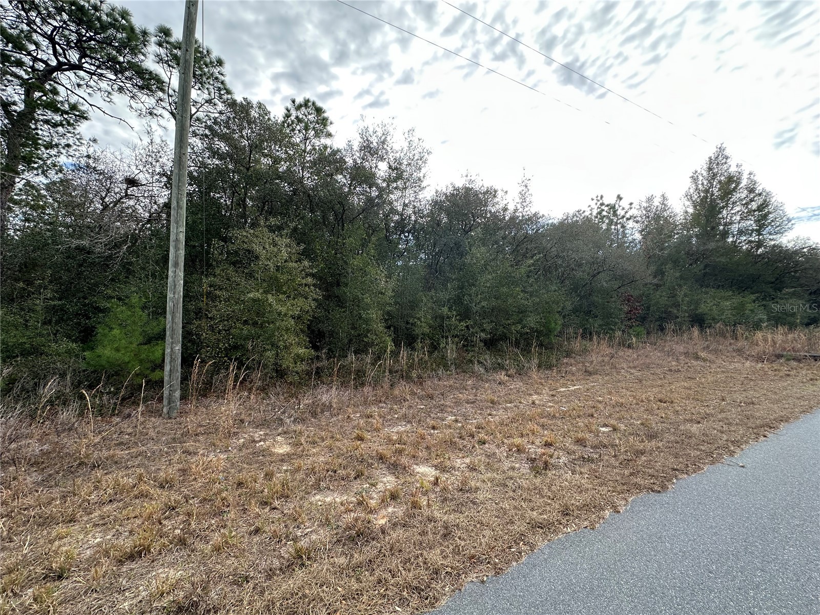 7891 N Darby Drive Citrus Springs FL 34433 OM717161 image8