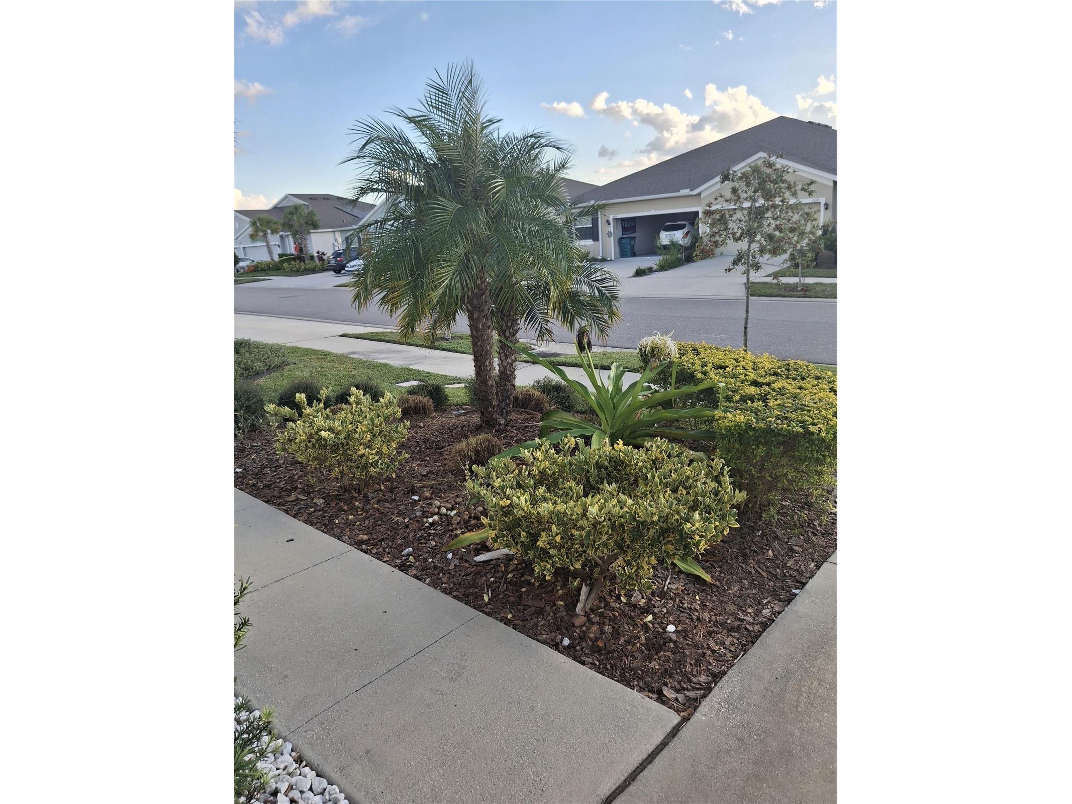 7891 Stonebrook Circle Wesley Chapel FL 33545 TB8489114 image39