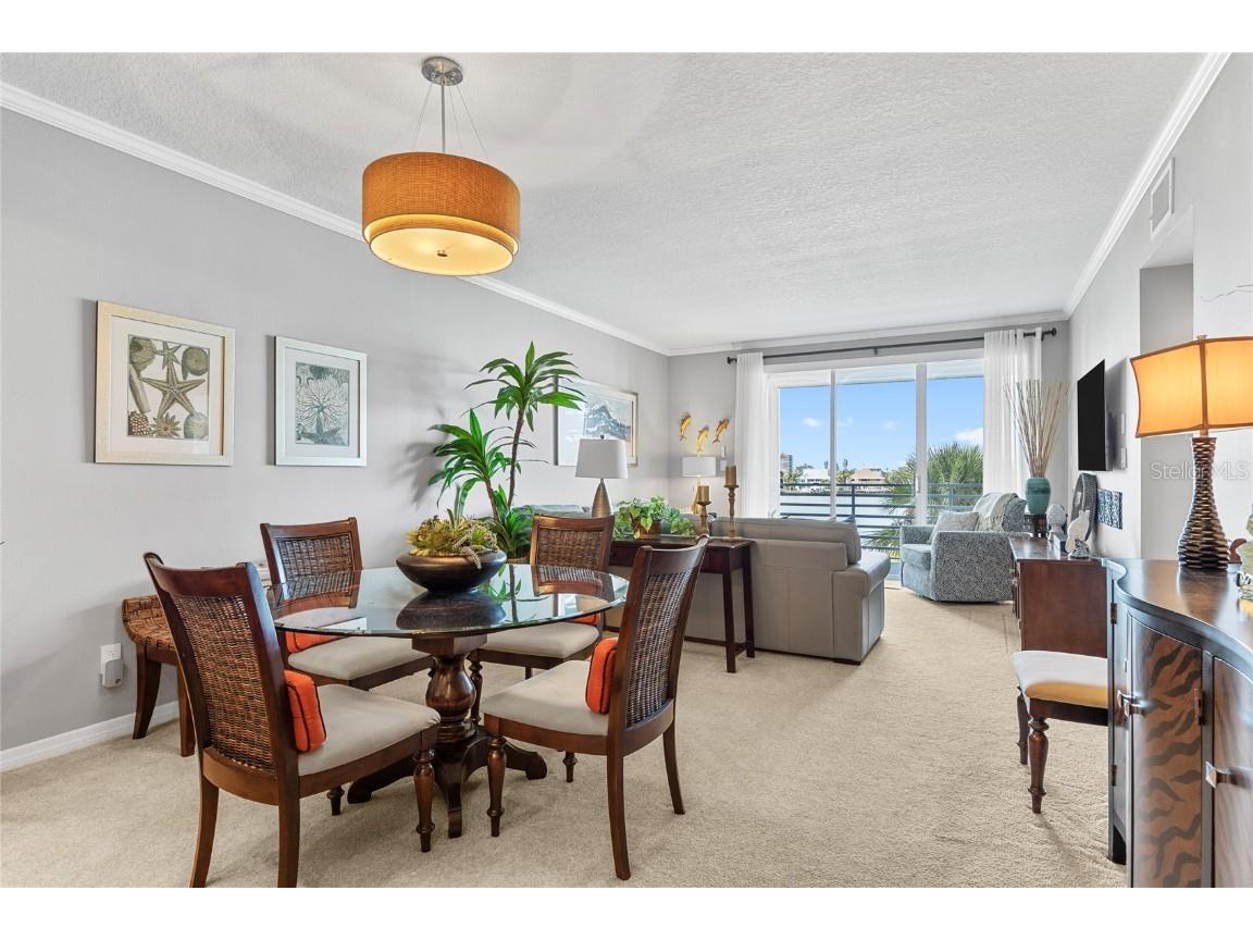 7892 Sailboat Key Boulevard S #206 South Pasadena FL 33707 TB8442800 image11