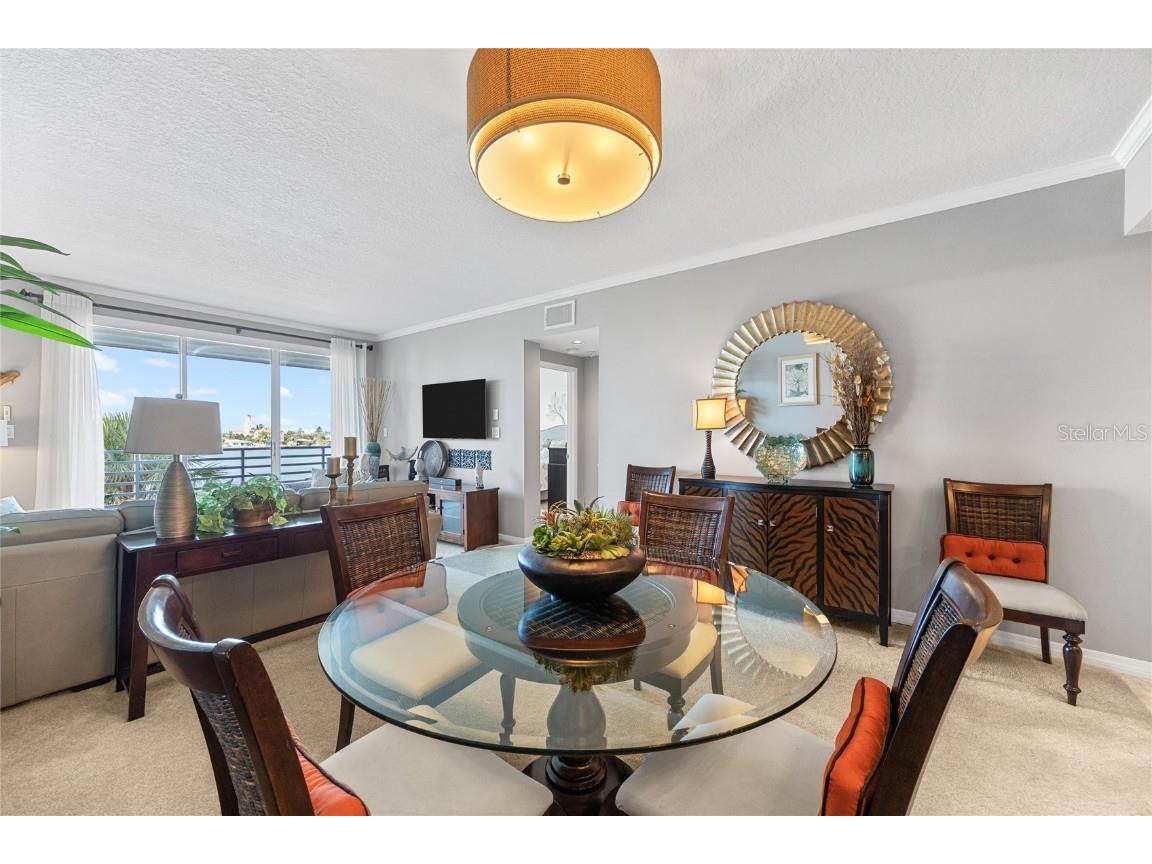 7892 Sailboat Key Boulevard S #206 South Pasadena FL 33707 TB8442800 image12