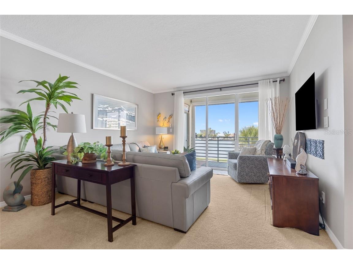 7892 Sailboat Key Boulevard S #206 South Pasadena FL 33707 TB8442800 image15