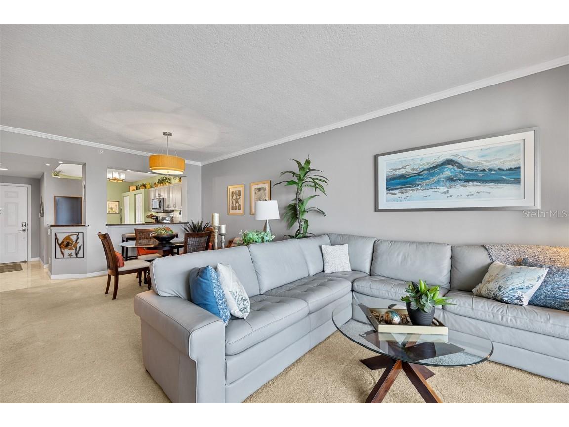 7892 Sailboat Key Boulevard S #206 South Pasadena FL 33707 TB8442800 image16