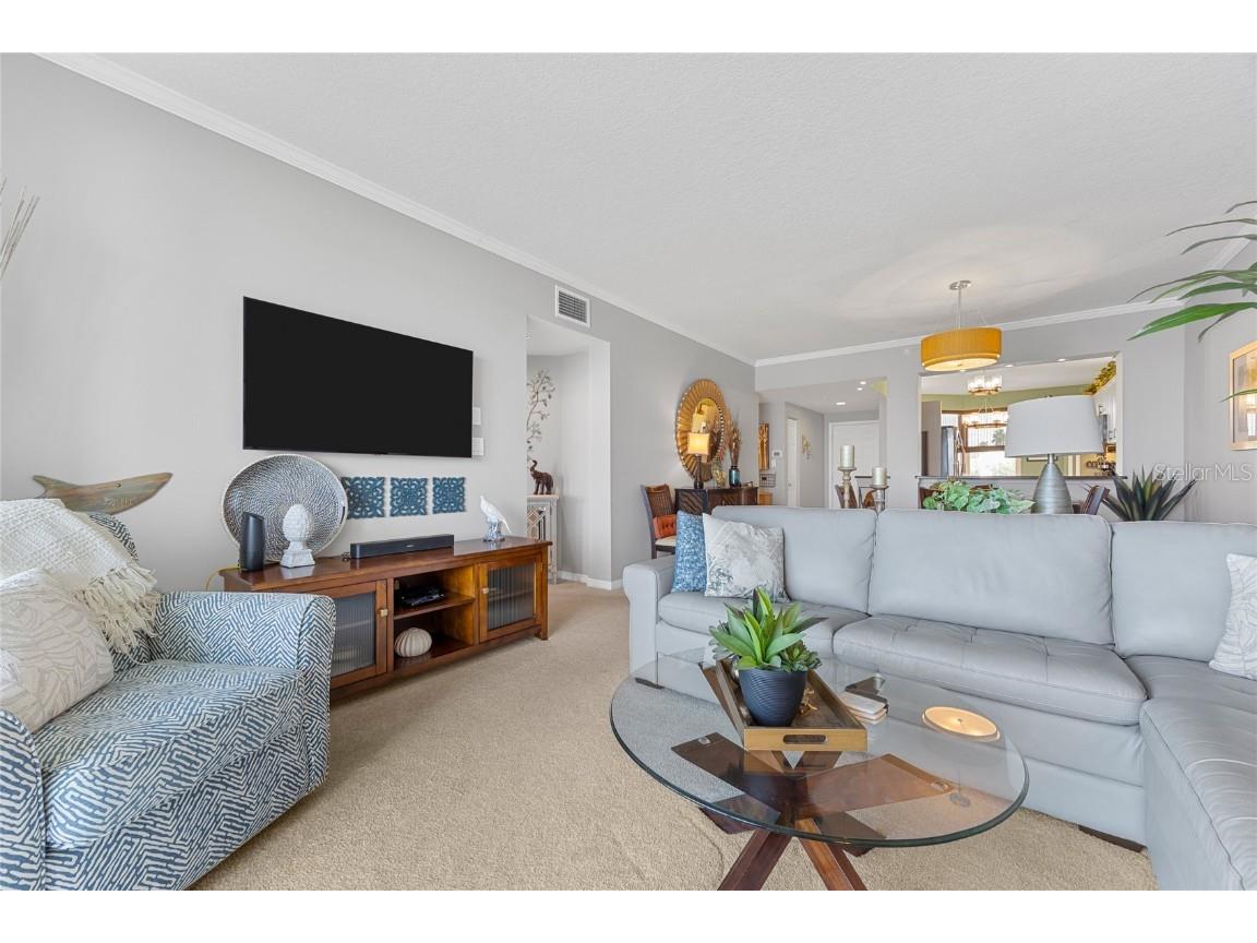 7892 Sailboat Key Boulevard S #206 South Pasadena FL 33707 TB8442800 image17