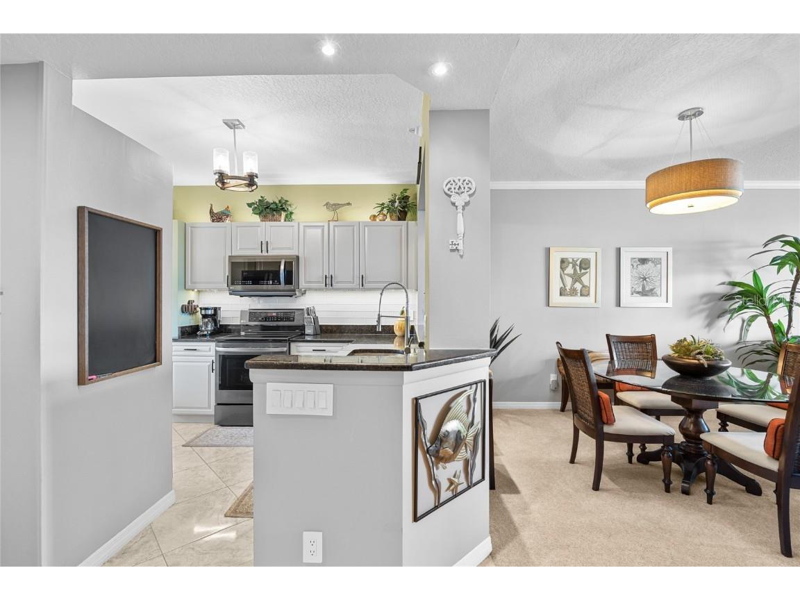 7892 Sailboat Key Boulevard S #206 South Pasadena FL 33707 TB8442800 image9