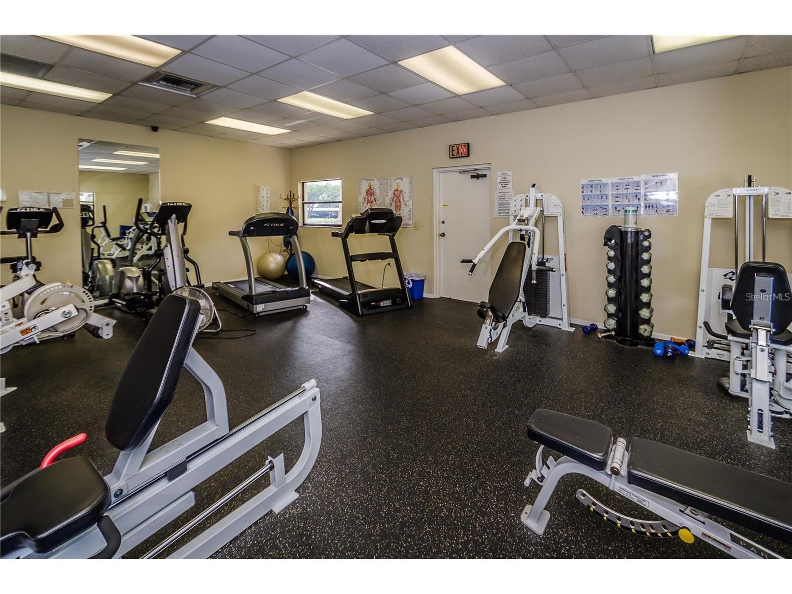 7892 Sailboat Key Boulevard S #306 South Pasadena FL 33707 TB8460515 image77