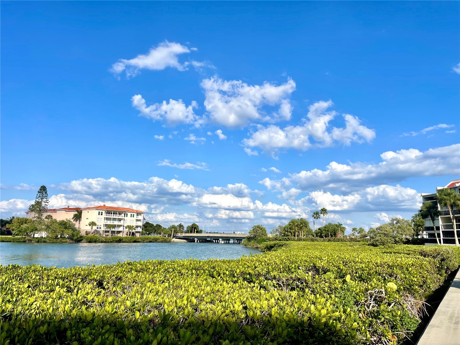7893 Sailboat Key Boulevard S #101 South Pasadena FL 33707 - INTRCOASTAL WATER TB8504581 image23