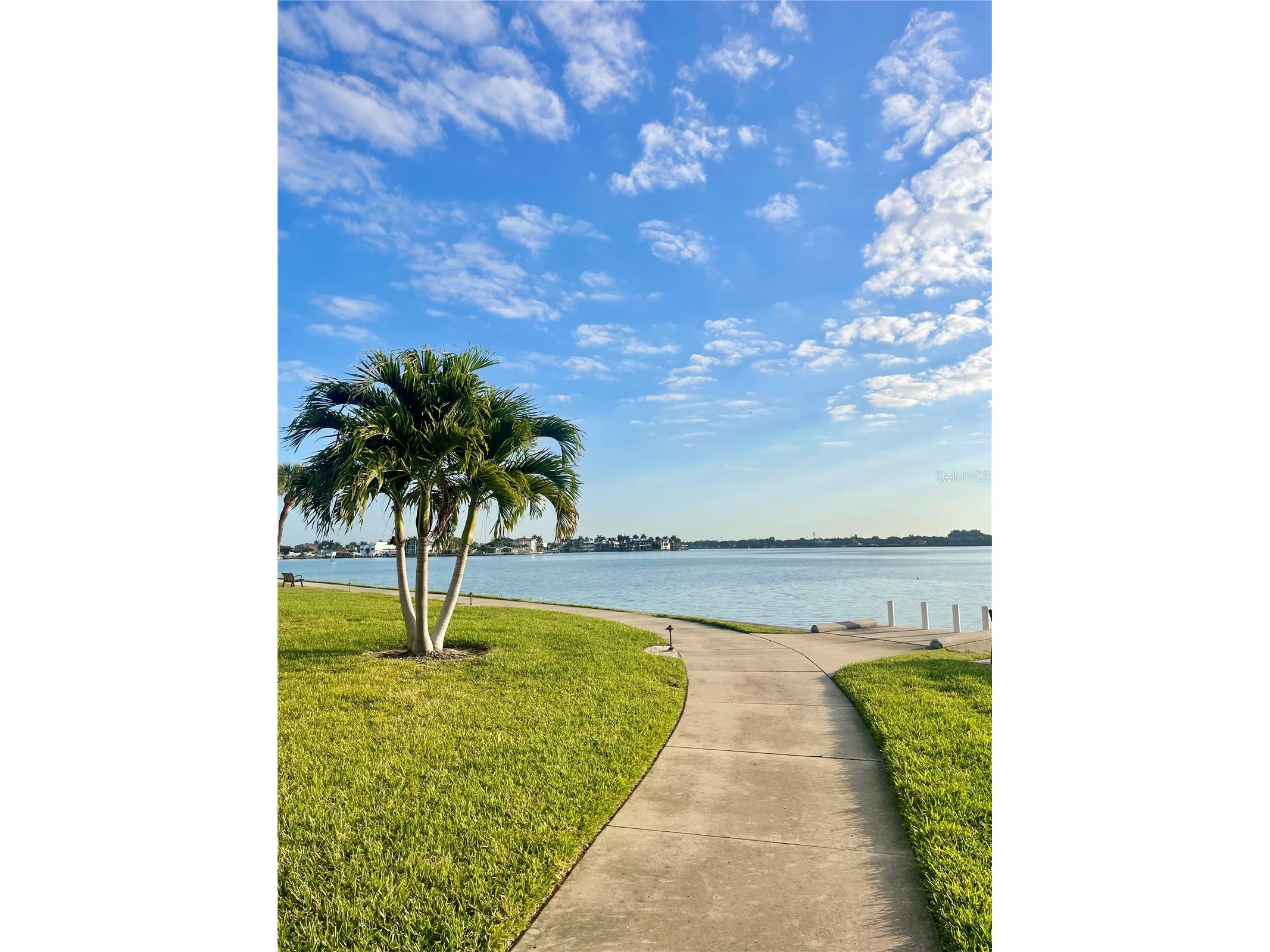 7893 Sailboat Key Boulevard S #202 South Pasadena FL 33707 - BOCA CIEGA BAY TB8498835 image20