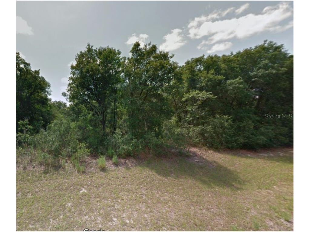 7897 N Fieldstone Drive Citrus Springs FL 34433 U8230187 image1