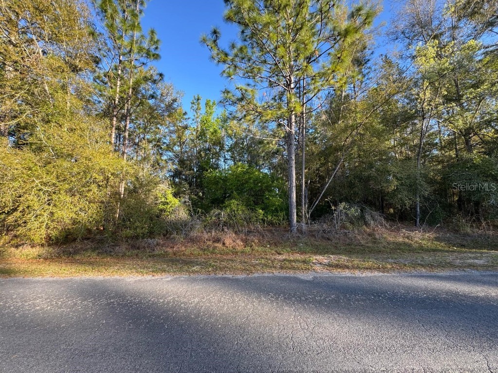 7898 N Pocono Drive Citrus Springs FL 34434 O6309353 image1