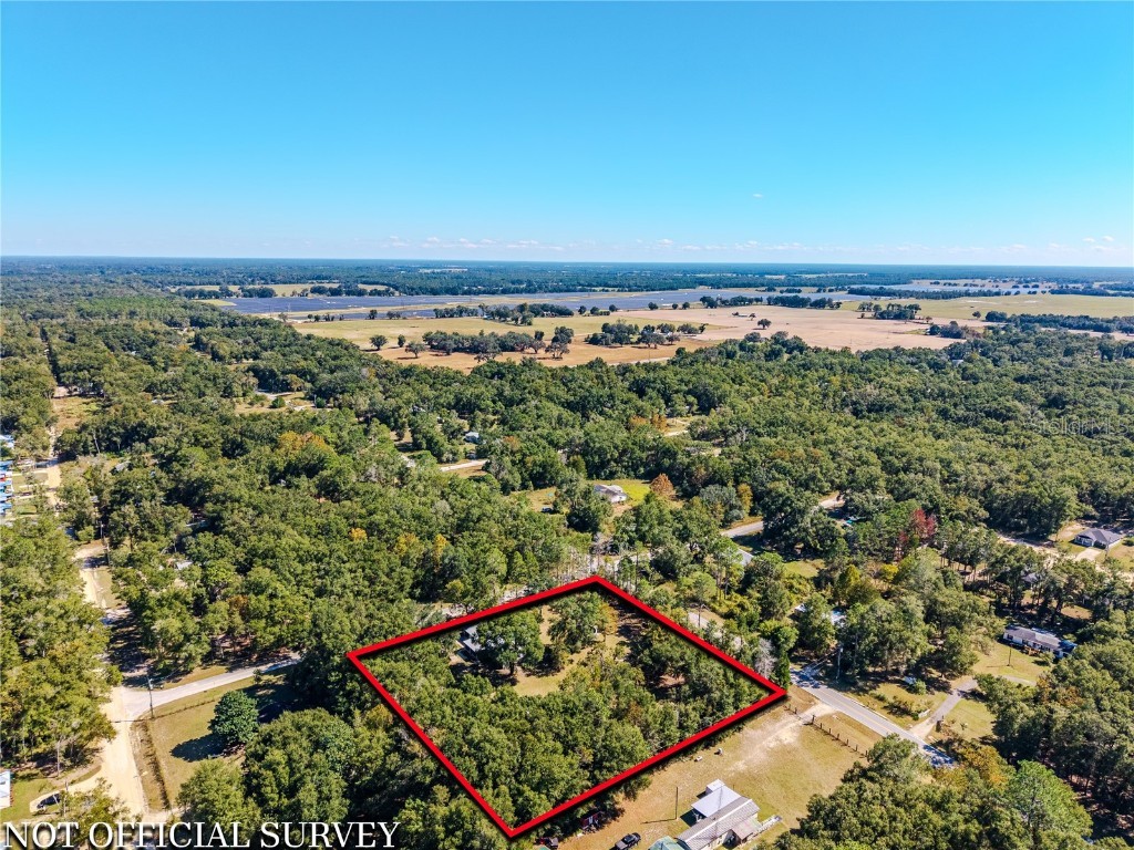 7899 SE 73rd Court Trenton FL 32693 OM711655 image33