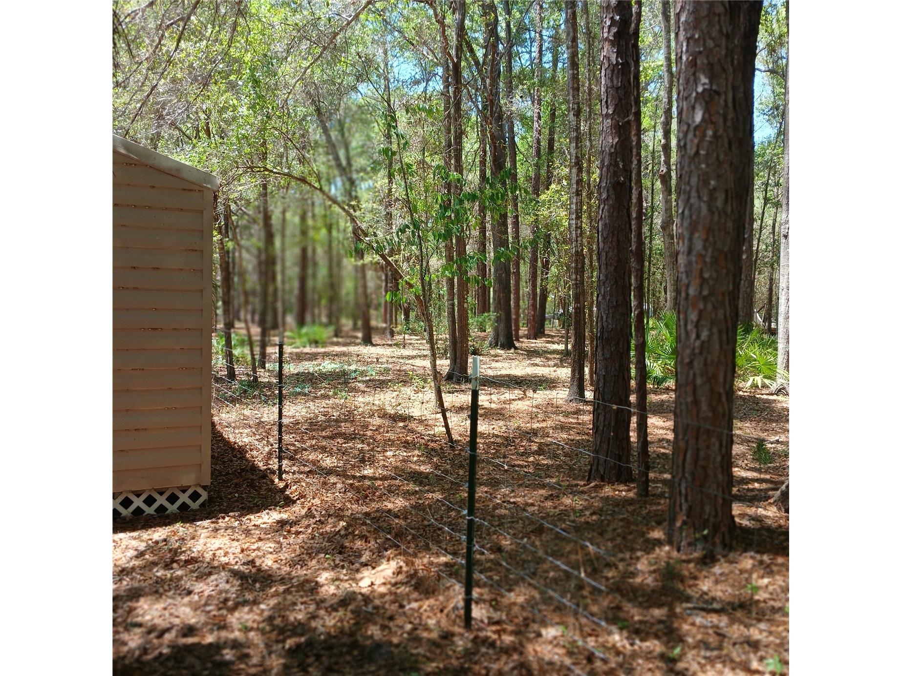 7899 W Fostoria Drive Dunnellon FL 34433 OM724123 image88