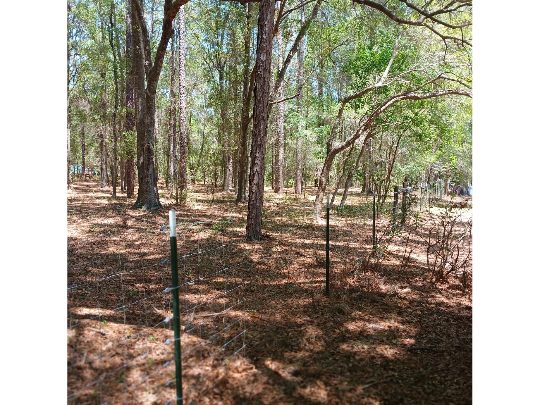 7899 W Fostoria Drive Dunnellon FL 34433 OM724123 image89
