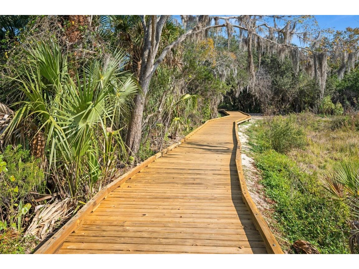 79 Broadmoor Circle Ormond Beach FL 32174 O6365340 image50