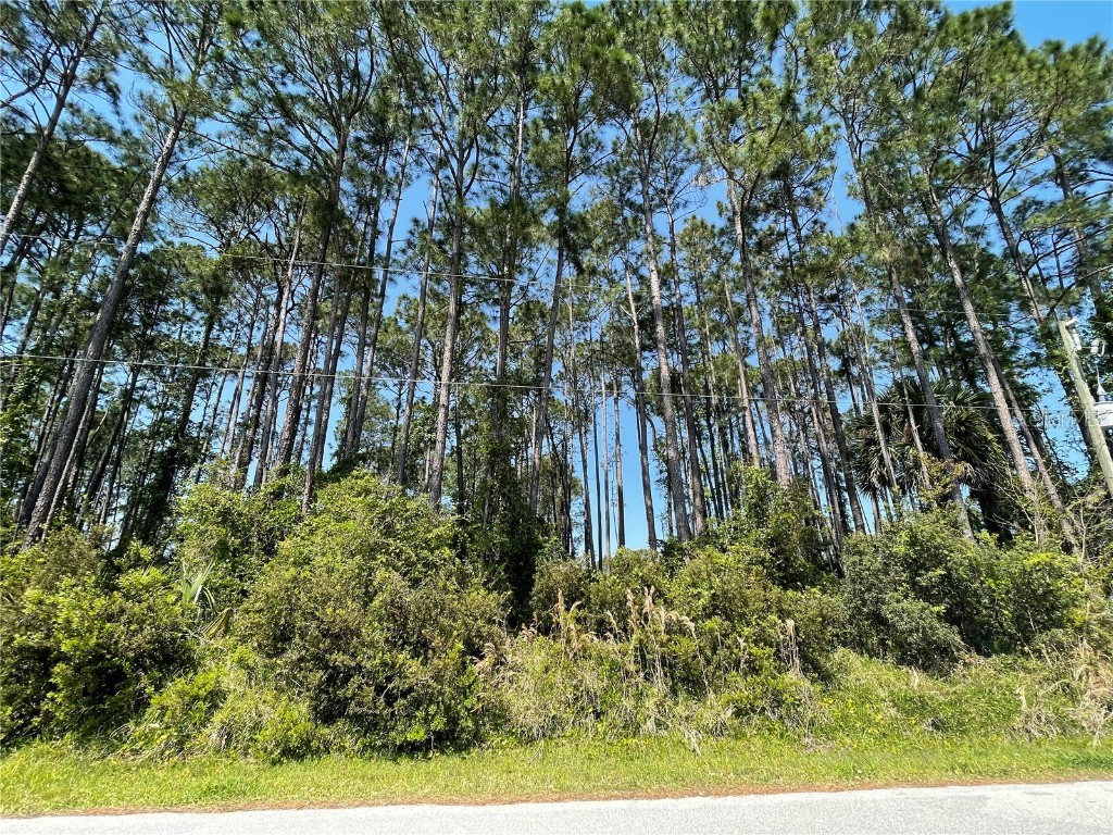 79 Brockton Lane Palm Coast FL 32137 FC299276 image1