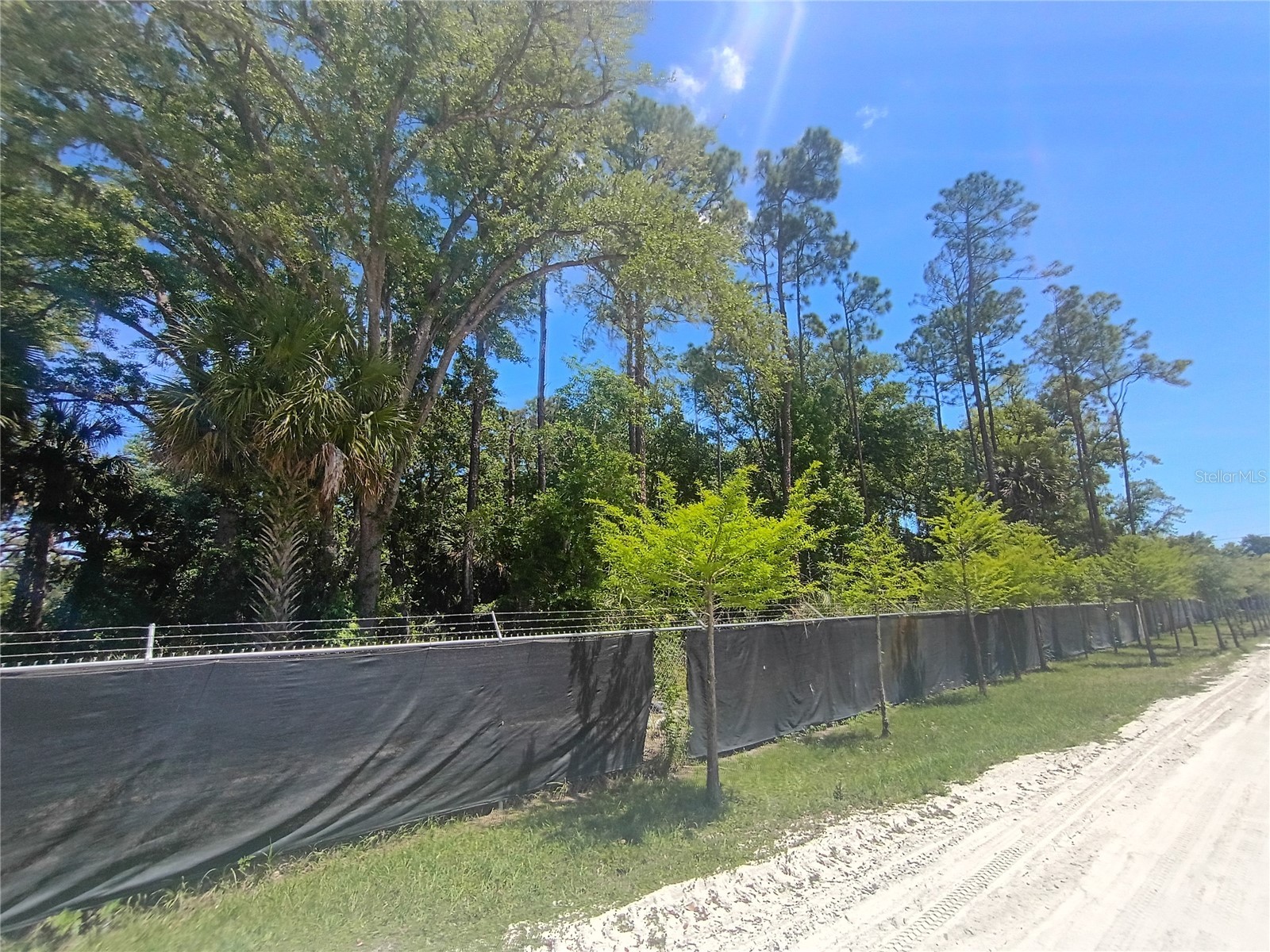 79 Cr-304 Bunnell FL 32110 S5148833 image5