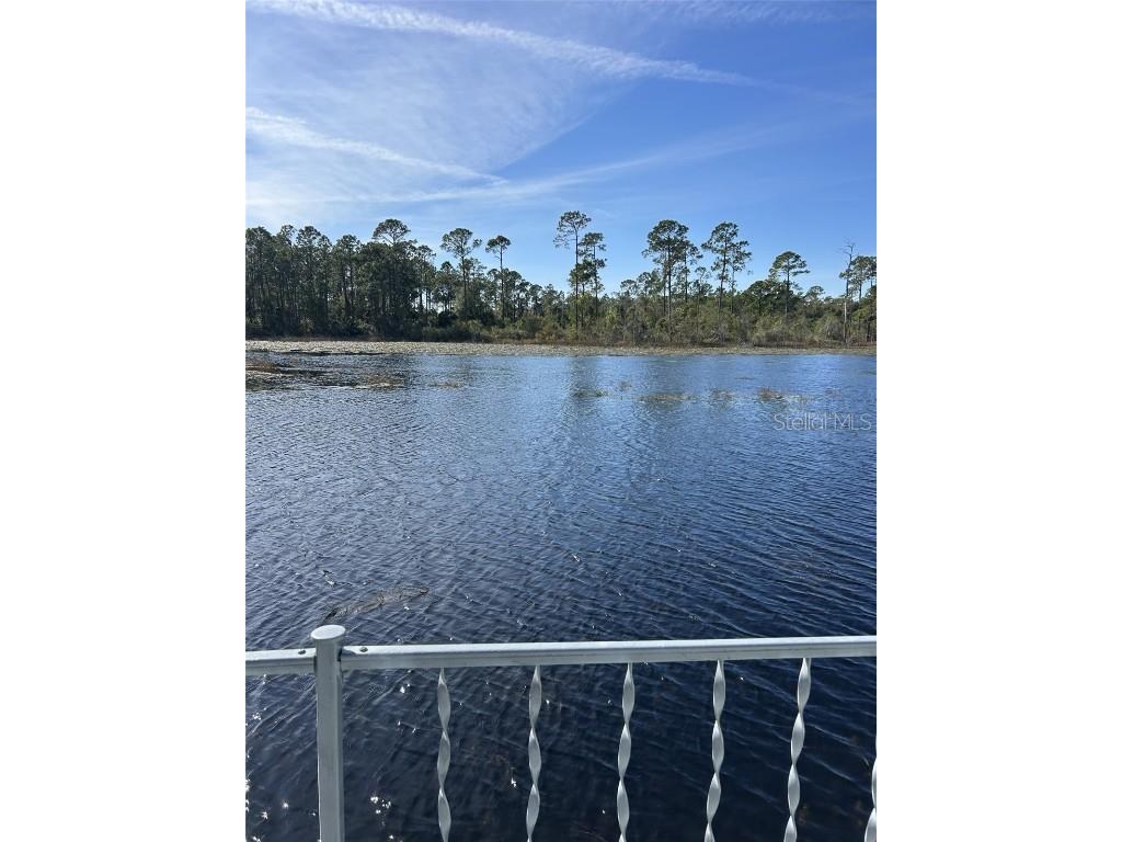 79 Eagle Point S Osteen FL 32764 - LAKE LITTLE TB8460550 image5