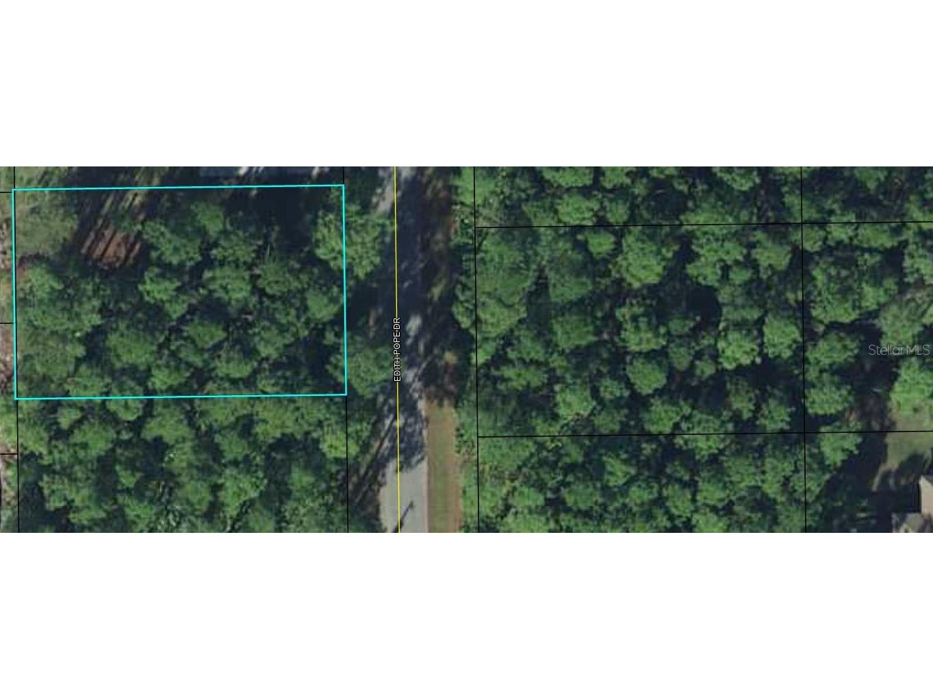 79 Edith Pope Drive Palm Coast FL 32164 FC291340 image1