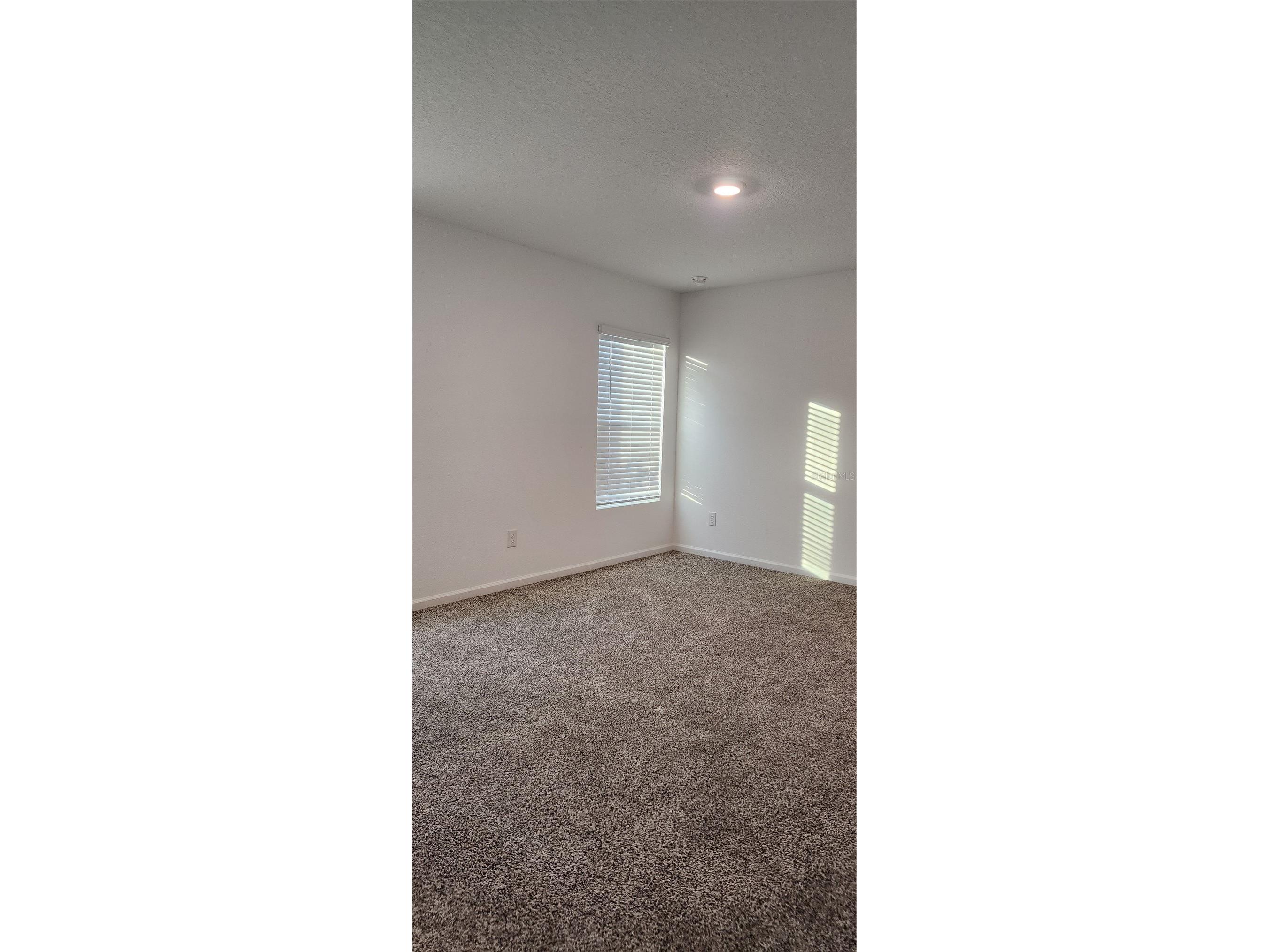 79 Pepperdine Dr Palm Coast FL 32164 FC318466 image11