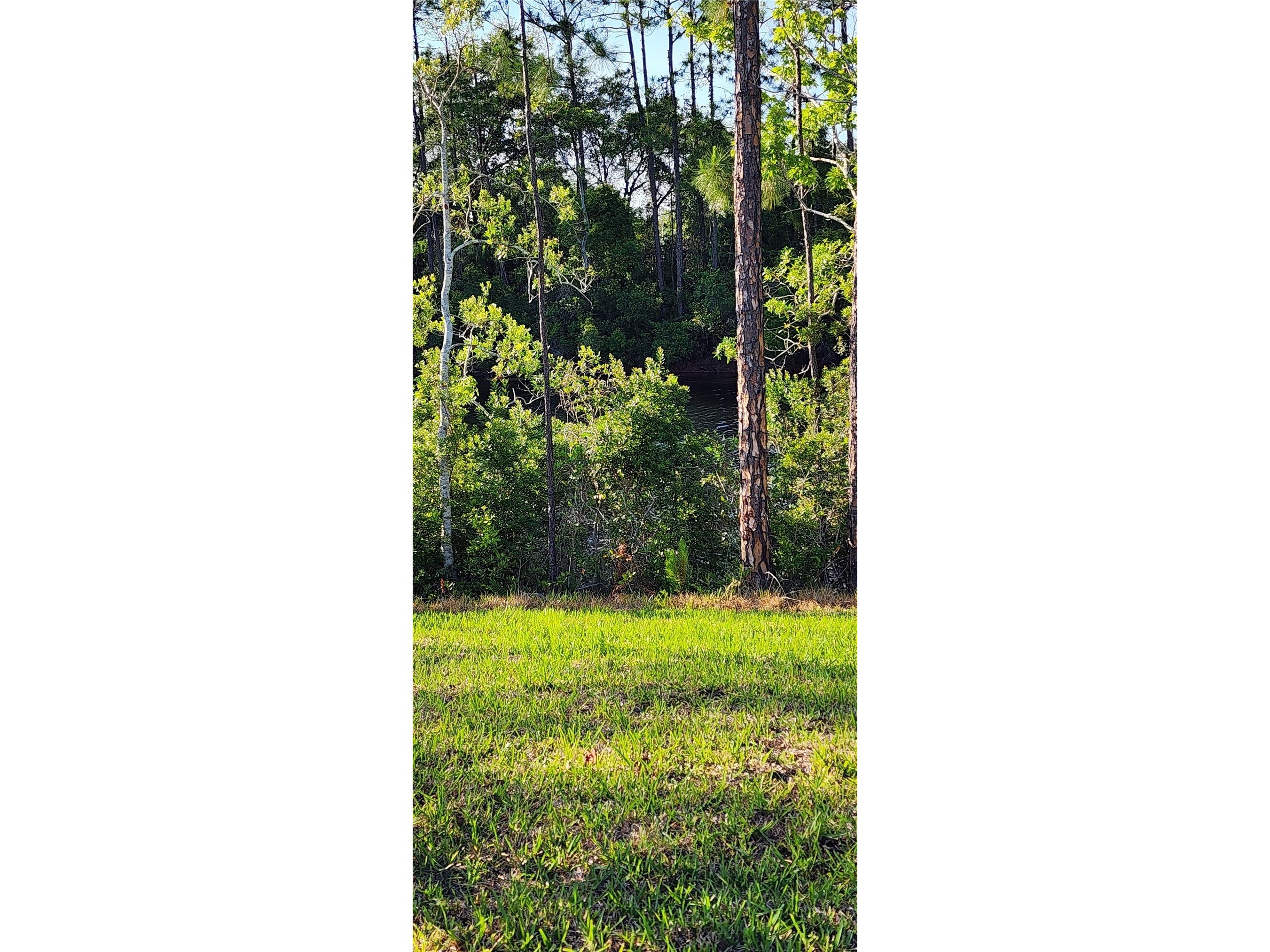 79 Pepperdine Dr Palm Coast FL 32164 FC318466 image21