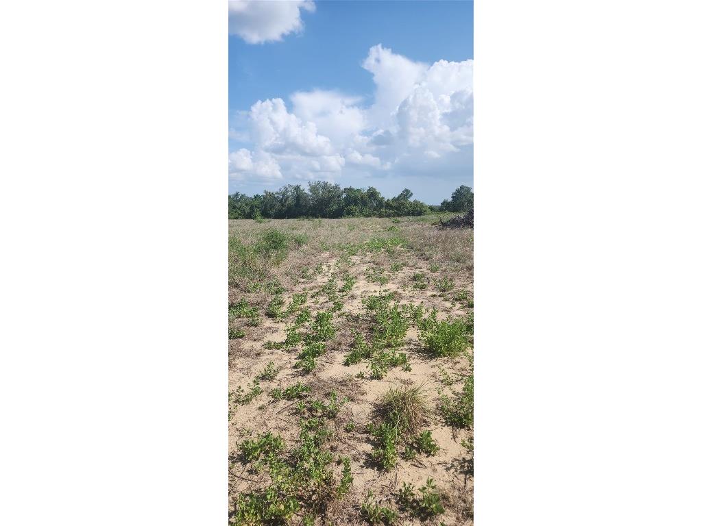 790 Lake Lotela Drive Avon Park FL 33825 P4935222 image5