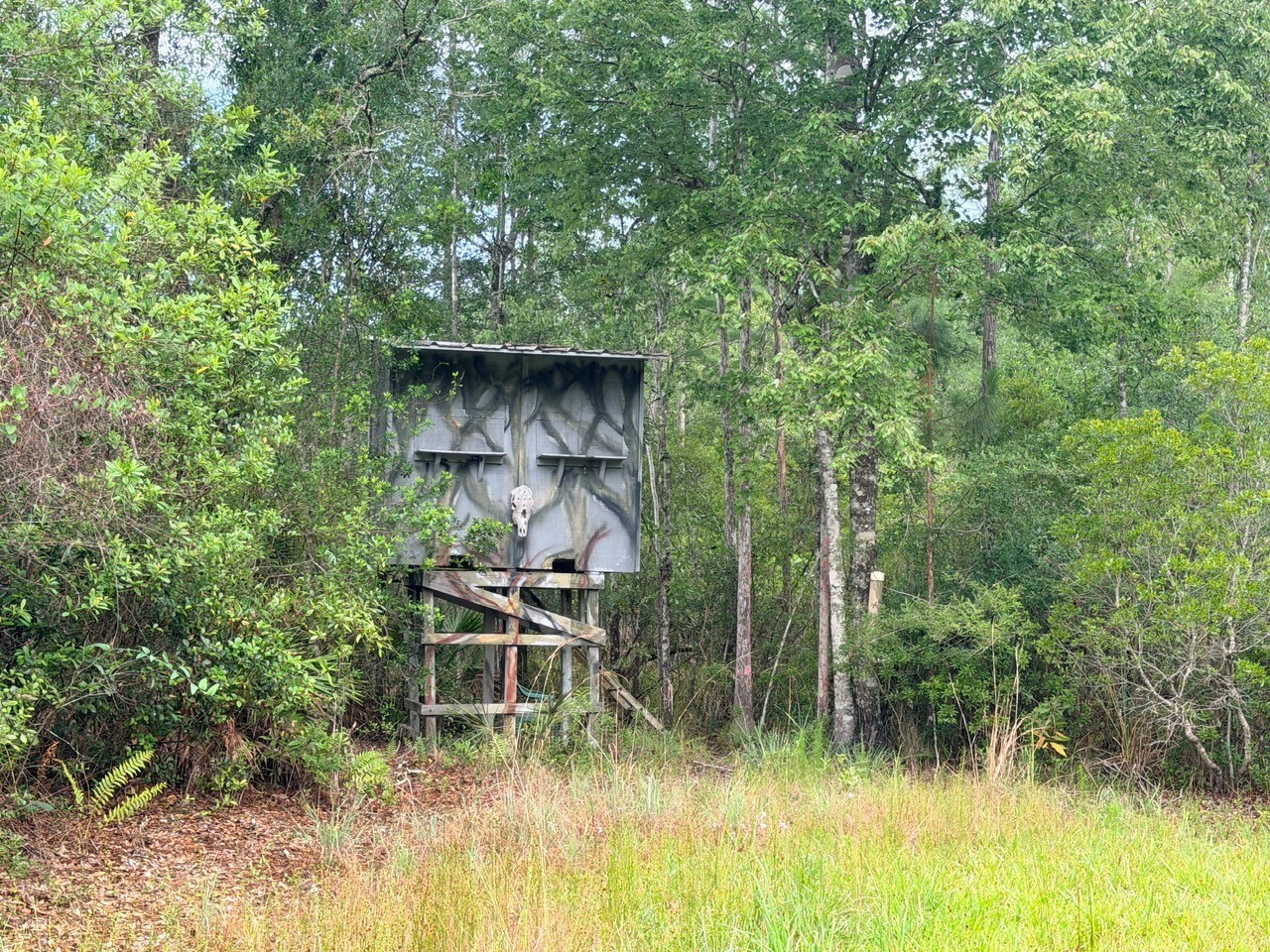 790 NW 42 Terrace Chiefland FL 32626 GC541238 image2