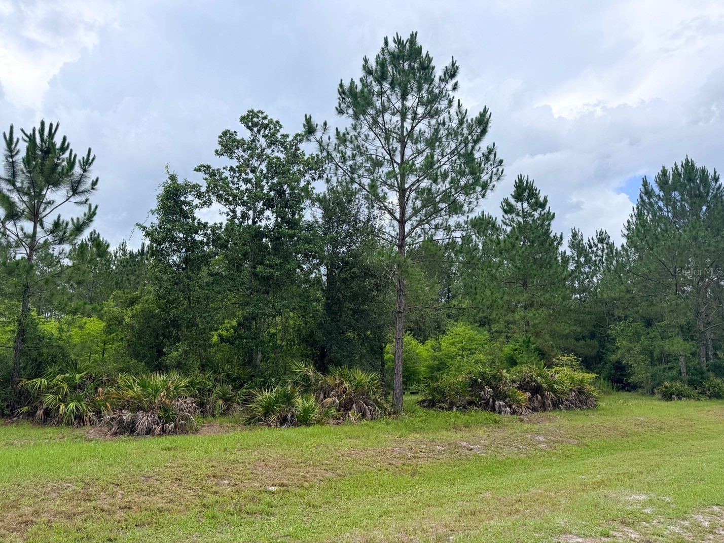 790 NW 42 Terrace Chiefland FL 32626 GC541238 image29