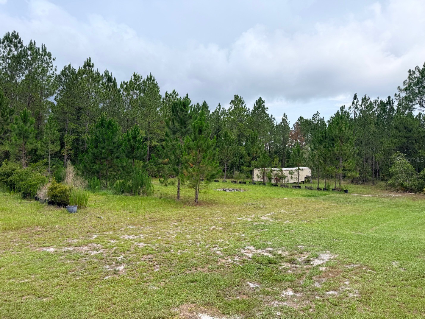 790 NW 42 Terrace Chiefland FL 32626 GC541238 image30