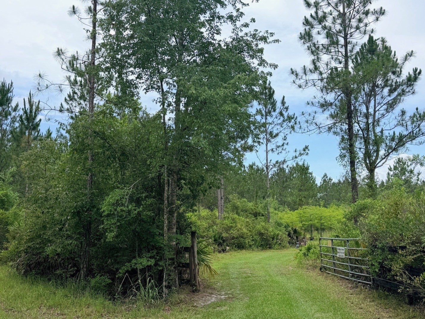 790 NW 42 Terrace Chiefland FL 32626 GC541238 image31